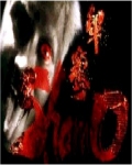Shamo